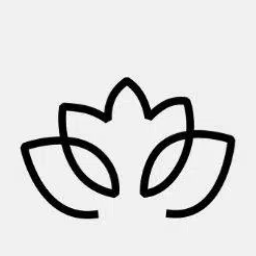 超凡国际 Logo
